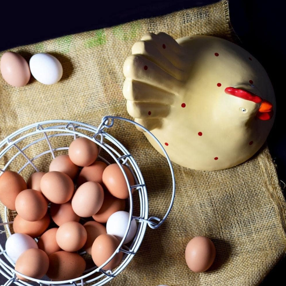Decorative Chicken Egg Storage Basket with Lid
